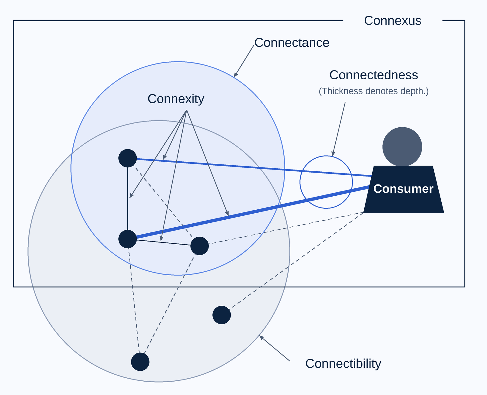Diagram of the 5Cs: inside a frame labelled Connexus, two overlapping circles mark Connectance and Connectibility. Nodes are joined by solid lines for realized connections and dotted lines for potential ones; Connexity arrows point to relevant links, and two lines of different thickness run to a Consumer to show Connectedness.